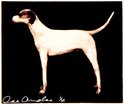 Untitled (Small Dog) - Dark Chocolate