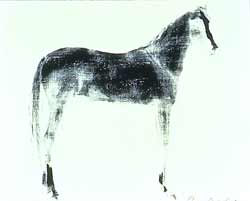 Horse X 12