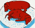 Horizontal Dogs