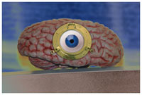 Mind's Eye