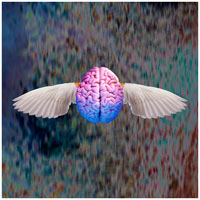 Flight